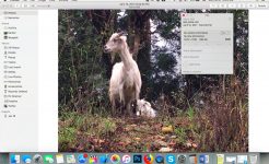 Edit Photo Metadata on Mac – It’s Easy!