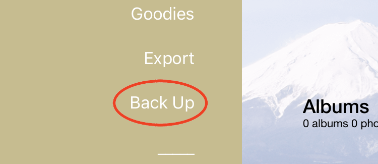 Backup function in Pic Scanner Gold app